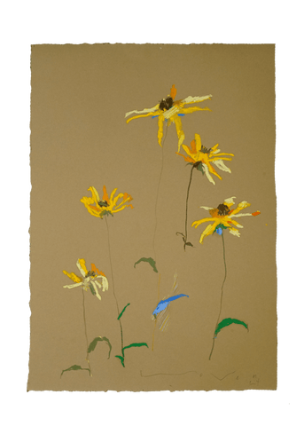 Mid-Summer Flowers No.7