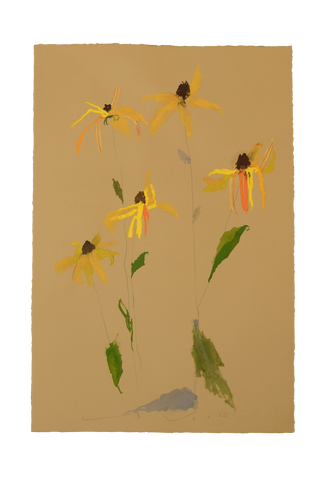 'Brown-Eyed Susan' No.6