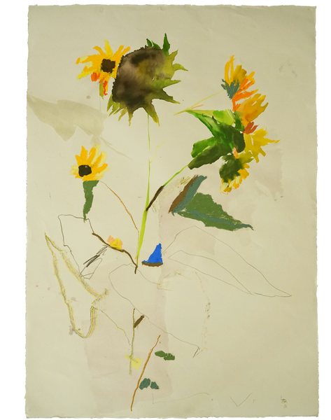 Sunflower No.2