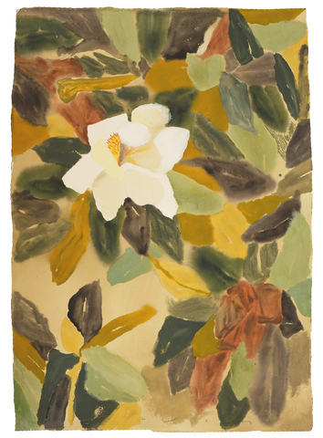 'That First Magnolia Morning'