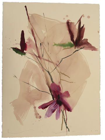 Tulip Magnolia No.7