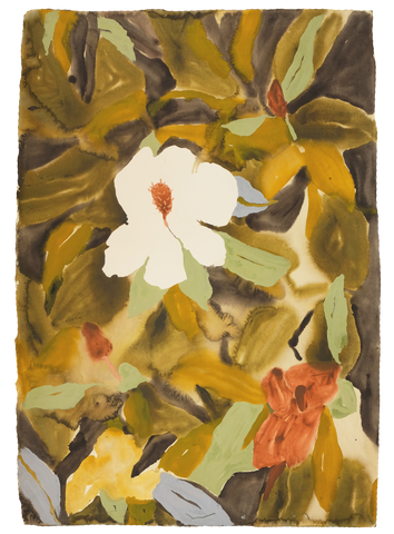 'What The Trees Told Me'