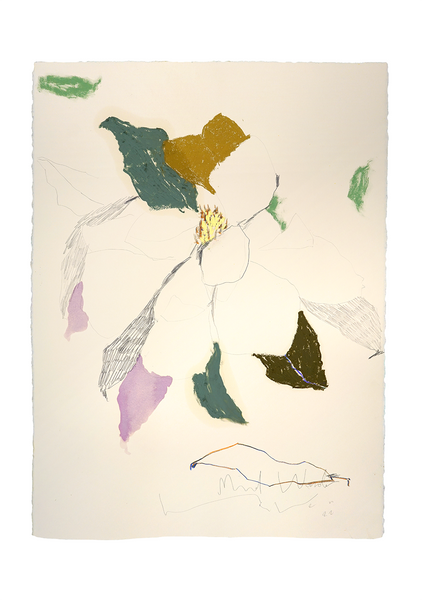 Magnolia - No. 12