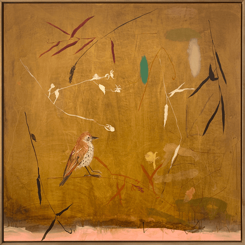 Sprinkles of delight