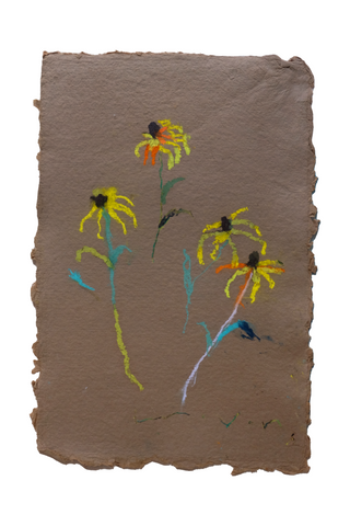 Black-eyed Susan - No. 4