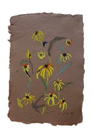 Black-eyed Susan - No. 6