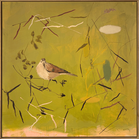 A Place to call my own