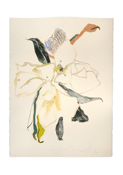 Magnolia - No. 9