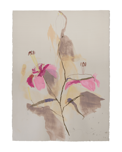 Lilies in Bloom - No. 5