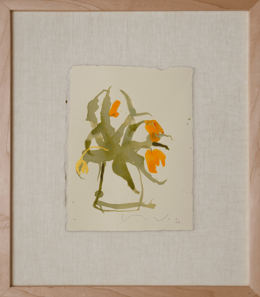 Little Falling Tulip - No. 2