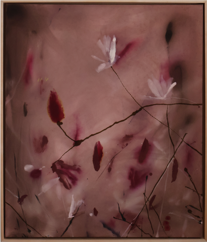 'Daylight' 34x40