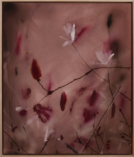 'Daylight' 34x40