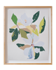 'Late Summer Bloom' Magnolias No.2