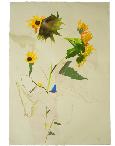 Sunflower No.2