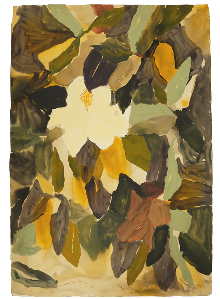 'Under Magnolia Skies'
