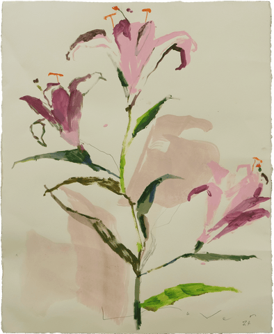 A Wildflower Lily No.5