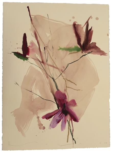 Tulip Magnolia No.7