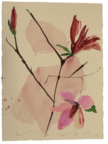 Tulip Magnolia No.9