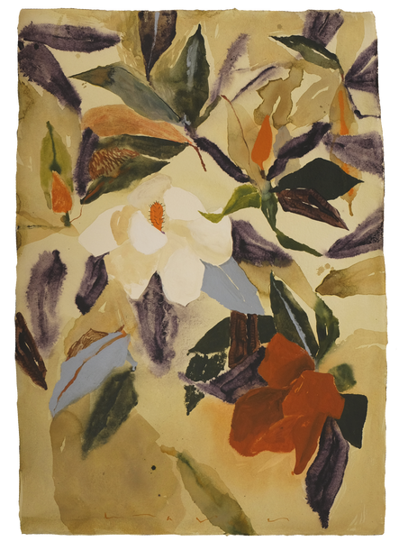 'Where We Bloomed'